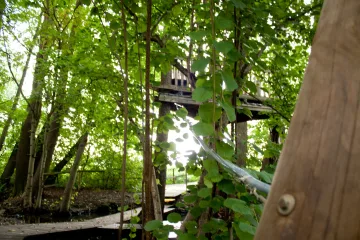 Der Bachspielplatz – Bild 5